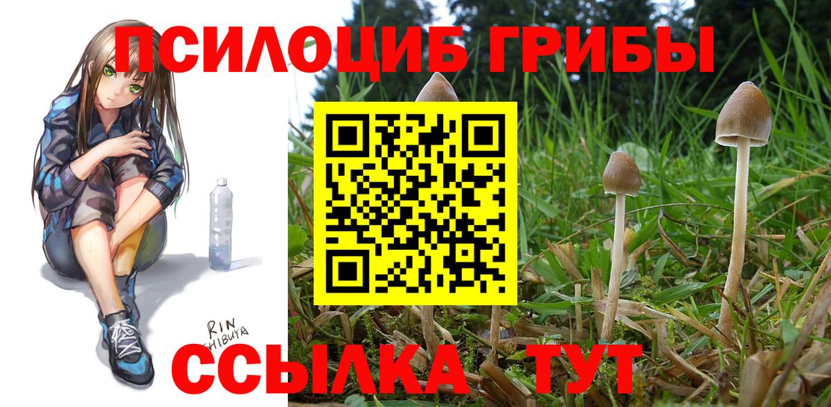 Галлюциногенные грибы Magic Shrooms Дальнереченск