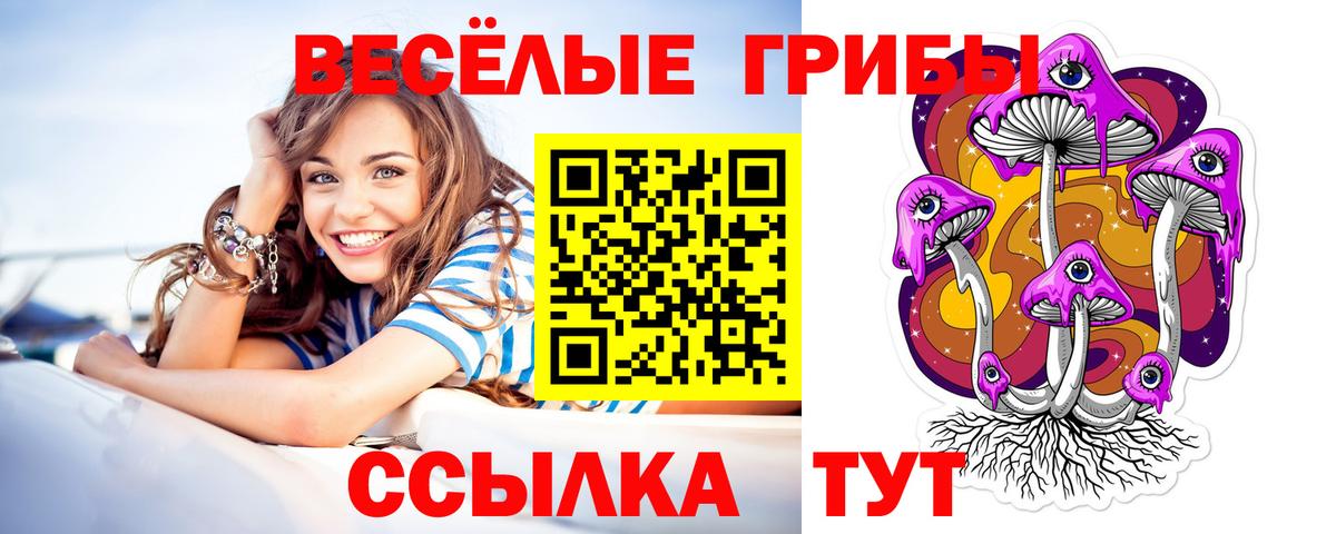 Дальнереченск  Галлюциногенные грибы ЛСД  Вход с VPN 